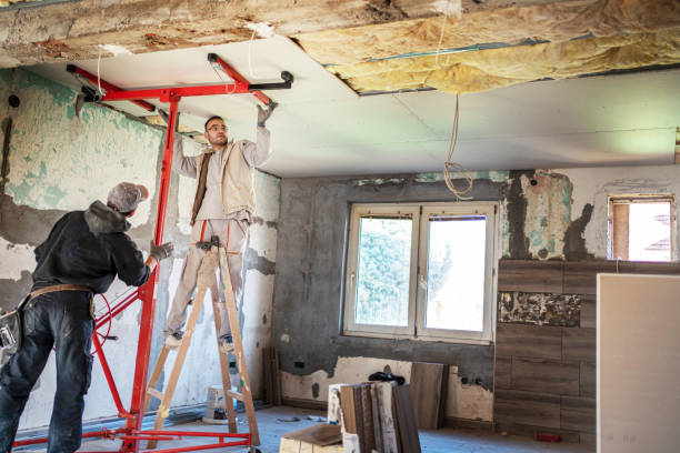 Best Insulation Maintenance and Repair in Roseland, FL